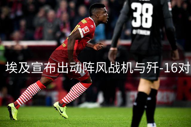 埃及宣布出动阵风战机与歼-16对抗，中方飞行员：埃方飞行员让人印象深刻
