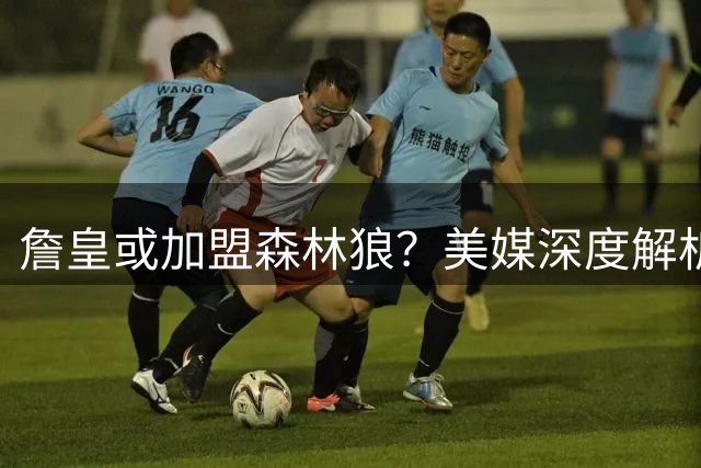 詹皇或加盟森林狼？美媒深度解析明尼苏达完美适配方案
